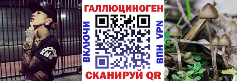 Галлюциногенные грибы GOLDEN TEACHER Чулым